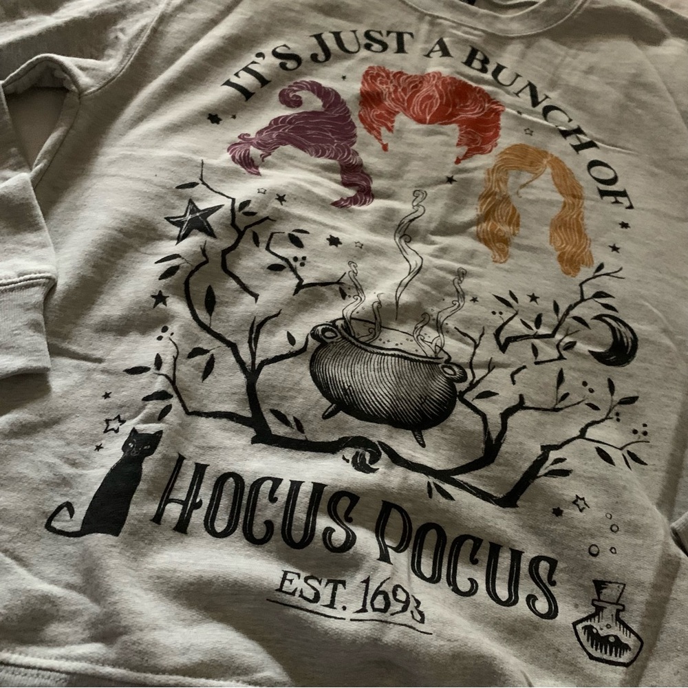 Hocus Pocus Gray Sweater - Picture 2 of 4